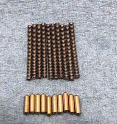 AR Detents and Springs (10 PCS)